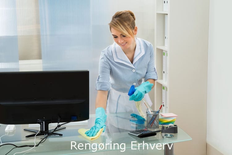rengøring erhverv